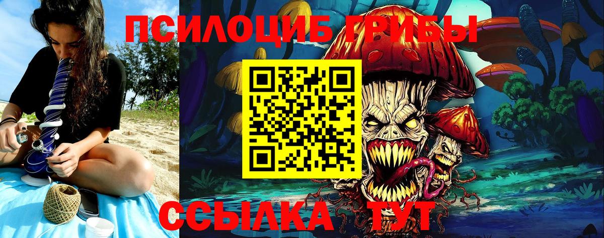 Псилоцибиновые грибы MAGIC MUSHROOMS  Вход с VPN  Псилоцибиновые грибы GOLDEN TEACHER  Протвино 