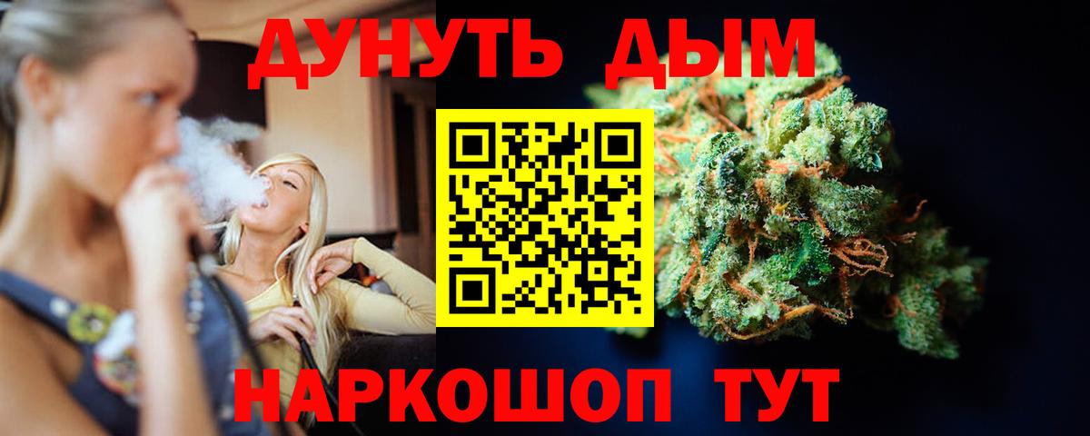 Каннабис сатива Протвино
